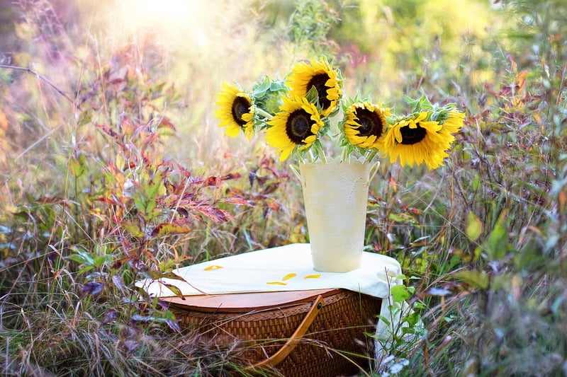 Magical Garden Wedding Image